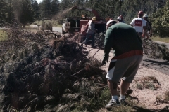 2015 Chipping 3