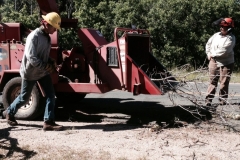 2015 Chipping 4